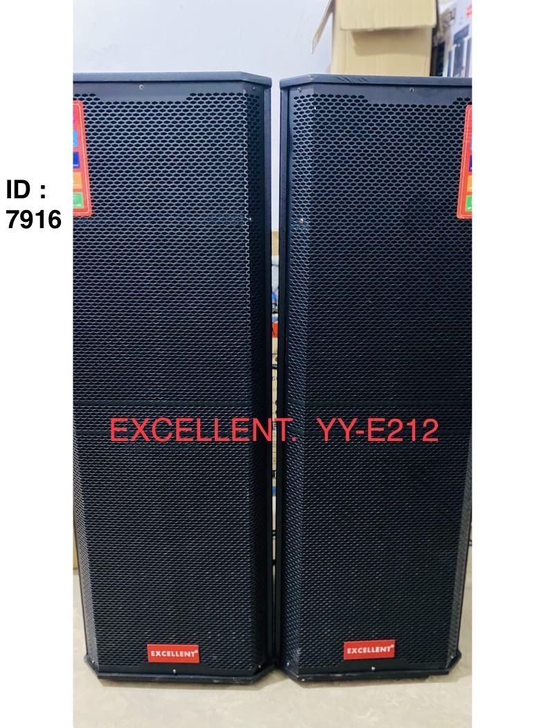 Enceinte de sonorisation professionnel